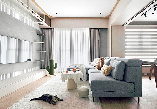 TITAN Property Awards Winner: Whiskers Within Walls